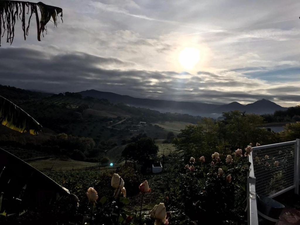 プラド・デル・レイ Hacienda San Franciscoヴィラ エクステリア 写真